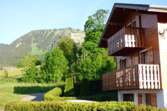 THOLLON-JUNE-14-SUMMER-SHOTS-INSIDE-041-Large